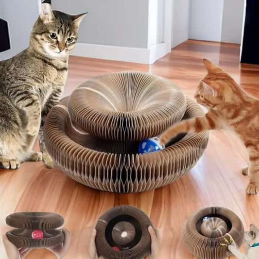 CurlFold Magic Cat Scratcher Bed